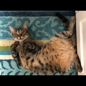 Meet your Posher, Michelle